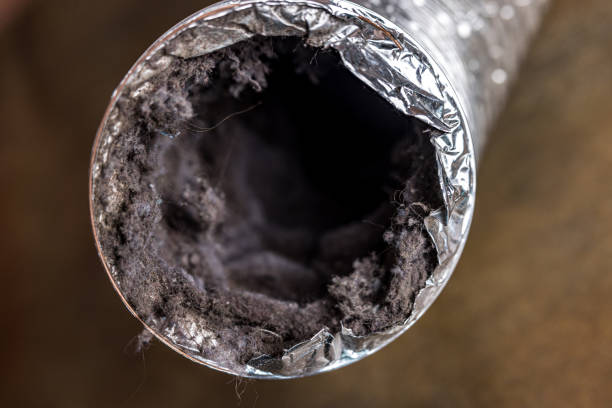 Air Duct Mold Removal in Golden, CO